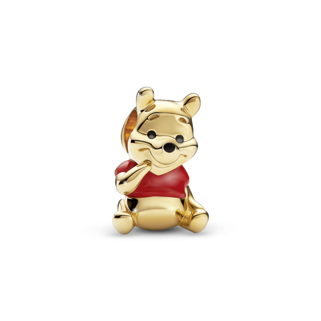 Charm Winnie Pooh