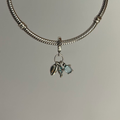Charm Viaje al Oceano