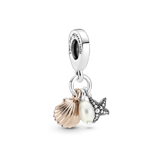 Charm Conchas de Mar